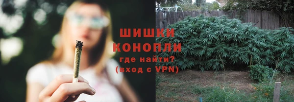 крисы Дмитриев