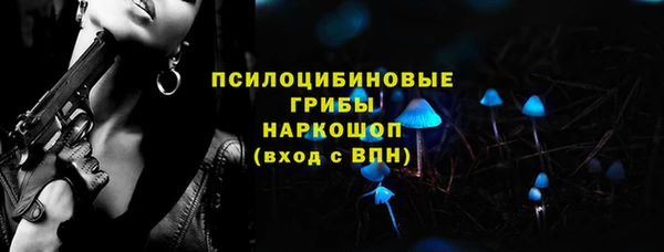 крисы Дмитриев