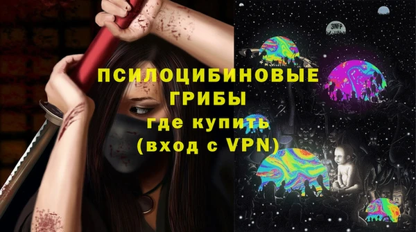 молекула духа Дмитровск