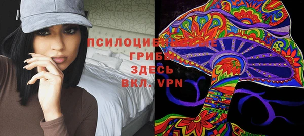герыч Дмитров