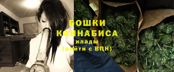 молекула духа Дмитровск