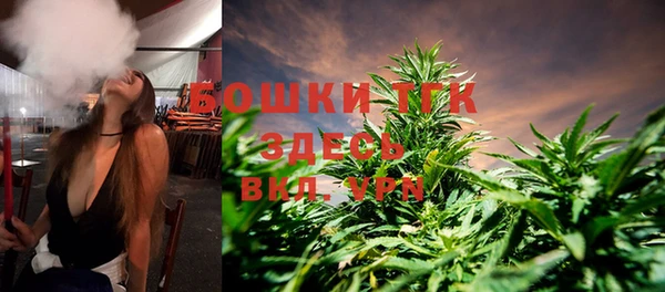 крисы Дмитриев