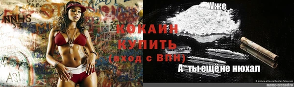 крисы Дмитриев