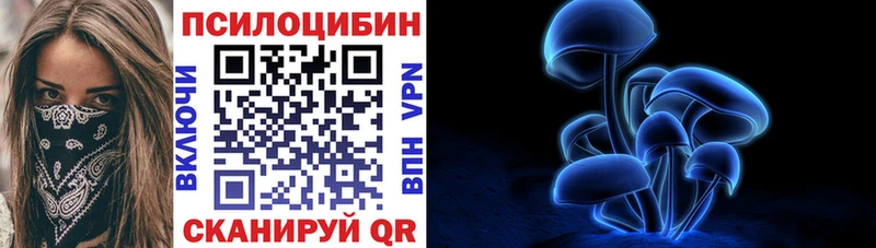 Галлюциногенные грибы мицелий Плёс