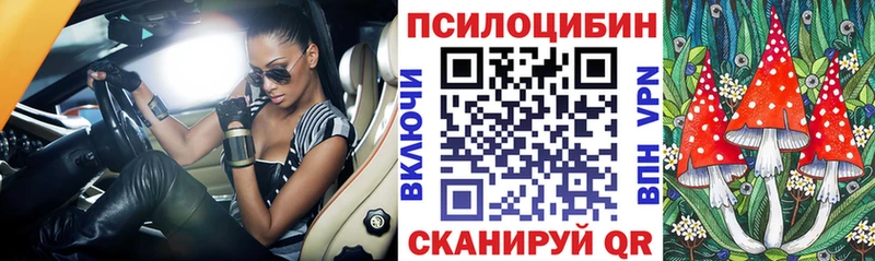 Псилоцибиновые грибы GOLDEN TEACHER  Купить  Плёс 
